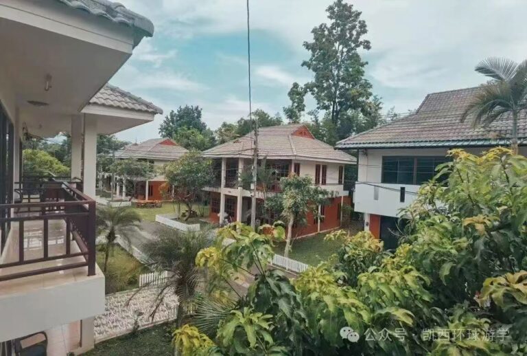 Image_20250311140213